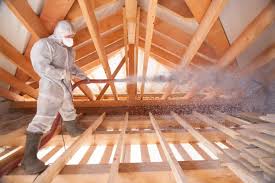 Best Eco-Friendly or Green Insulation Solutions  in Jackson, MN