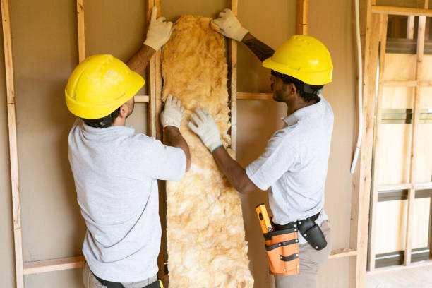 Best Insulation for New Construction  in Jackson, MN